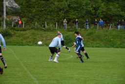 fiksrekvvil22011 016